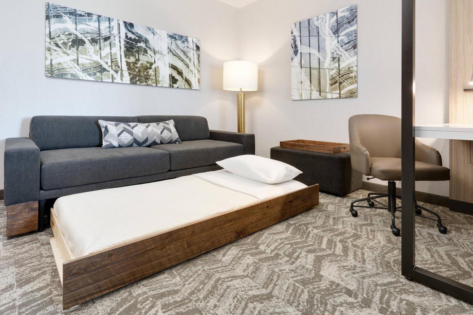 Springhill Suites By Marriott Dallas Mansfield Buitenkant foto